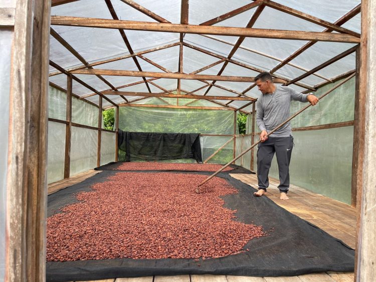 FOTOS: Divulgação /Idam