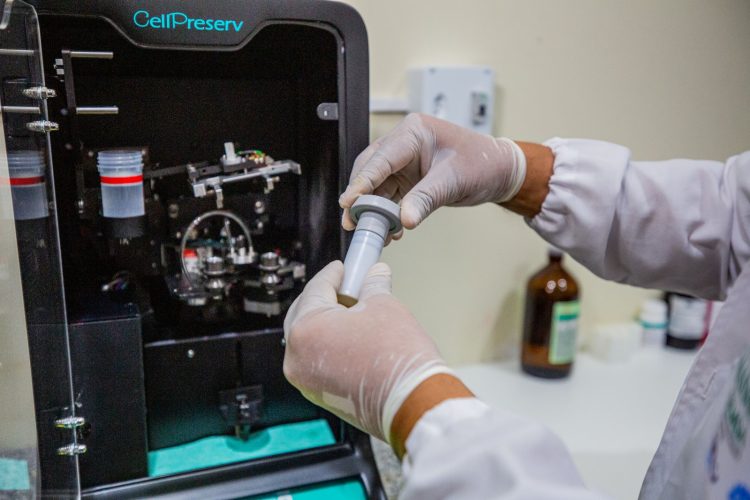 Fotos - Divulgação / Semsa