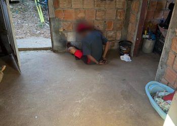 (Foto: Divulgação/PC-AM)