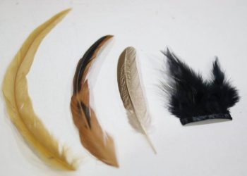 Foto: Lucas Silva/Amazonastur