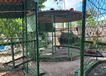 FOTOS: Arquivo/Ipaam