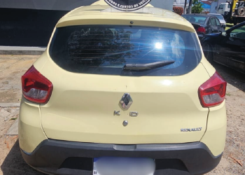 FOTO: Divulgação/PC-AM