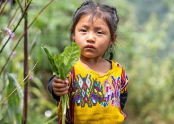 Foto: Unicef/Anderson Flores