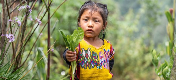 Foto: Unicef/Anderson Flores