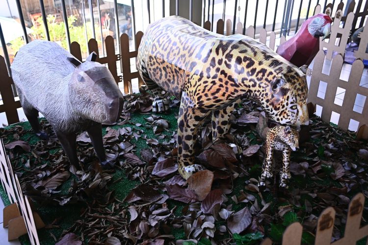 Fotos - Thelson Souza / Manauscult