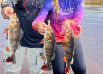 FOTOS: Divulgação/Ipaam