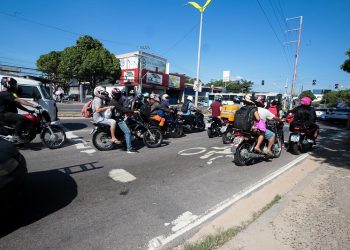 Foto: Divulgação/ IMMU