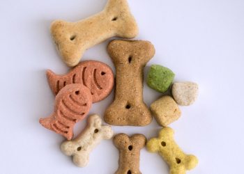 Foto: Reprodução | Canva