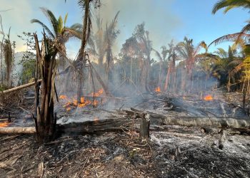 Foto: Divulgação/MPAM