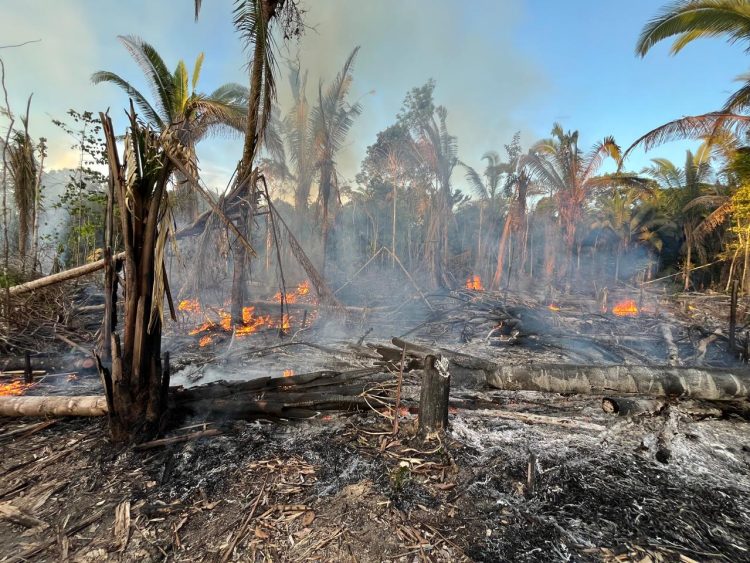 Foto: Divulgação/MPAM