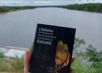 Foto: Divulgação/Arquivo pessoal da pesquisadora Neusa Hamada