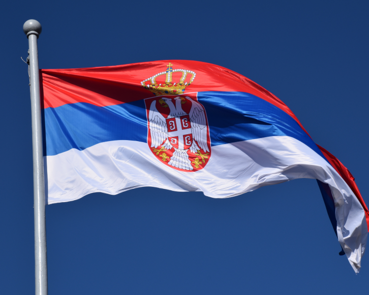 Foto: Reprodução | Canva