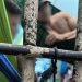 Foto: Divulgação/MPAM