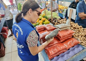 Foto: Divulgação | Semsa