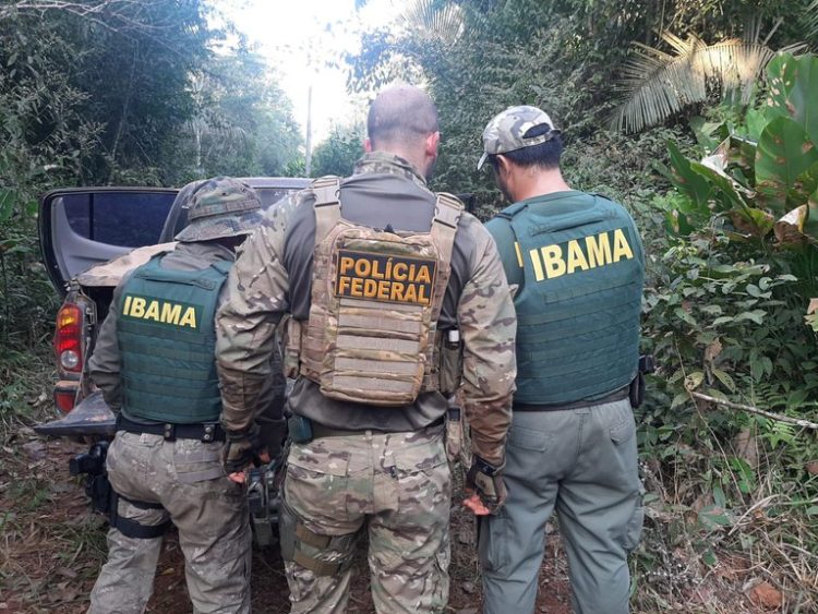 Foto: Divulgação | IBAMA-AM
