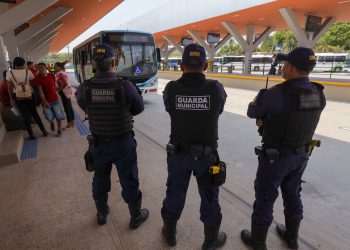 Fotos – Divulgação/Semcom