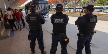 Fotos – Divulgação/Semcom