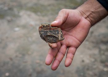 Fotos: Miguel Monteiro / Instituto Mamirauá