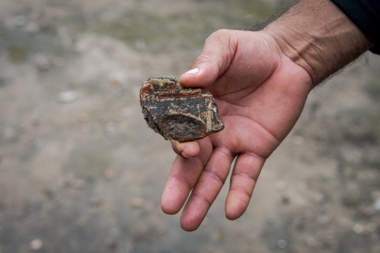 Fotos: Miguel Monteiro / Instituto Mamirauá