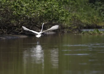 Foto: © Fernando Frazão/Agência Brasil