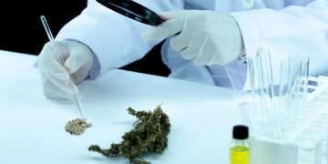 Foto: Divulgação | Embrapa