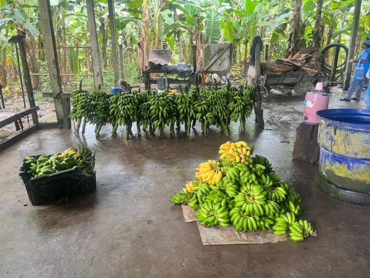 Fotos: Arquivo/Angela Maria da Silva Mendes