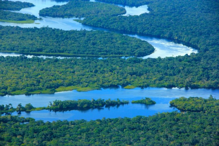 FOTOS: José Narbaes/Ipaam