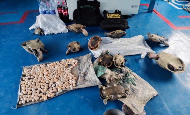 Foto: Divulgação/Ipaam