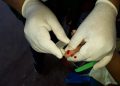 Fotos - Divulgação/Semsa