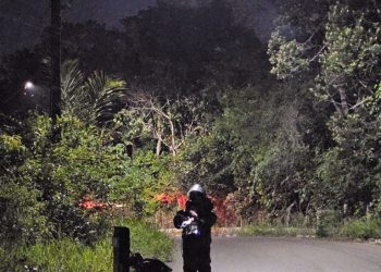 FOTO: Divulgação/PMAM