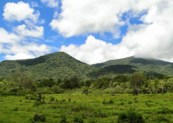 Reserva Biológica Bom Jesus, no Paraná, é exemplo de unidade de conservação onde existem busca de soluções equilibradas para situações que envolvem a presença humana em unidades de conservação - Foto: Monia Laura Faria Fernandes/ICMBio