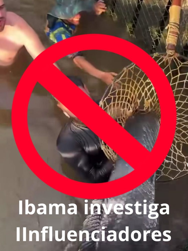 Fonte: Divulgação IBAMA-AM