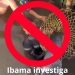 Fonte: Divulgação IBAMA-AM