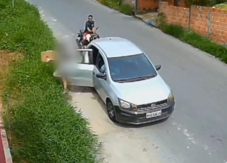 Imagens do abandono de cadela e filhotes. (Fotos: Divulgação/PC-AM)