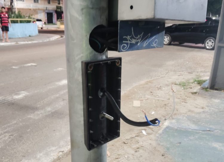 fotos – Divulgação/IMMU