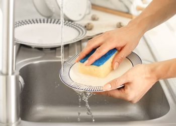 Foto: Reprodução | Canva