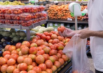 Foto: Vitor Vasconcelos / Secom-PR