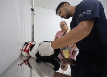 Fotos: Mauro Neto/Secom