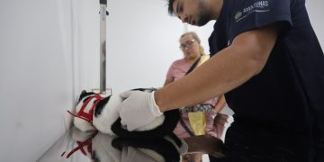 Fotos: Mauro Neto/Secom