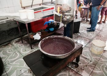 Fotos – Valdo Leão/Semcom