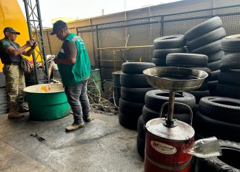 Fotos - Divulgação / Semulsp