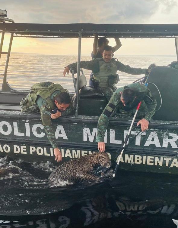 FOTO: Divulgação/PMAM
