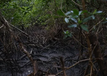 © Fernando Frazão/Agência Brasil