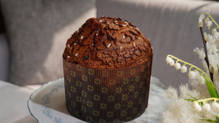 Imagem Ilustrativa. Foto: Canva Pro