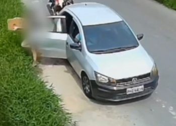 FOTOS: Erlon Rodrigues e Divulgação/PC-AM.