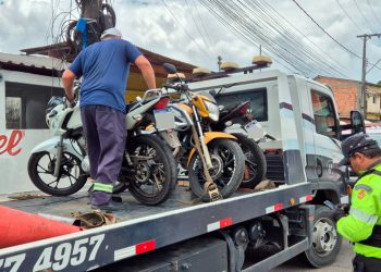 Fotos – Divulgação / IMMU