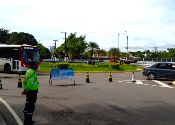 Fotos – Divulgação/IMMU