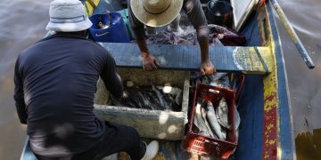 © Fernando Frazão/Agência Brasil