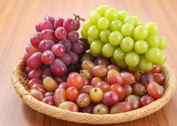 Foto: Reprodução | Canva