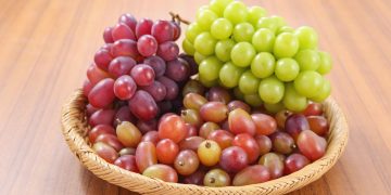 Foto: Reprodução | Canva